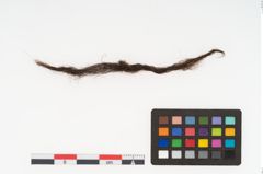 Foto von Textil (NHMW-PRAE-125689)